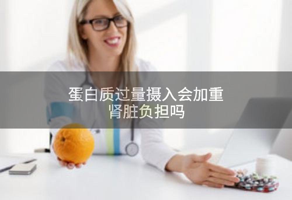 蛋白质过量摄入会加重肾脏负担吗