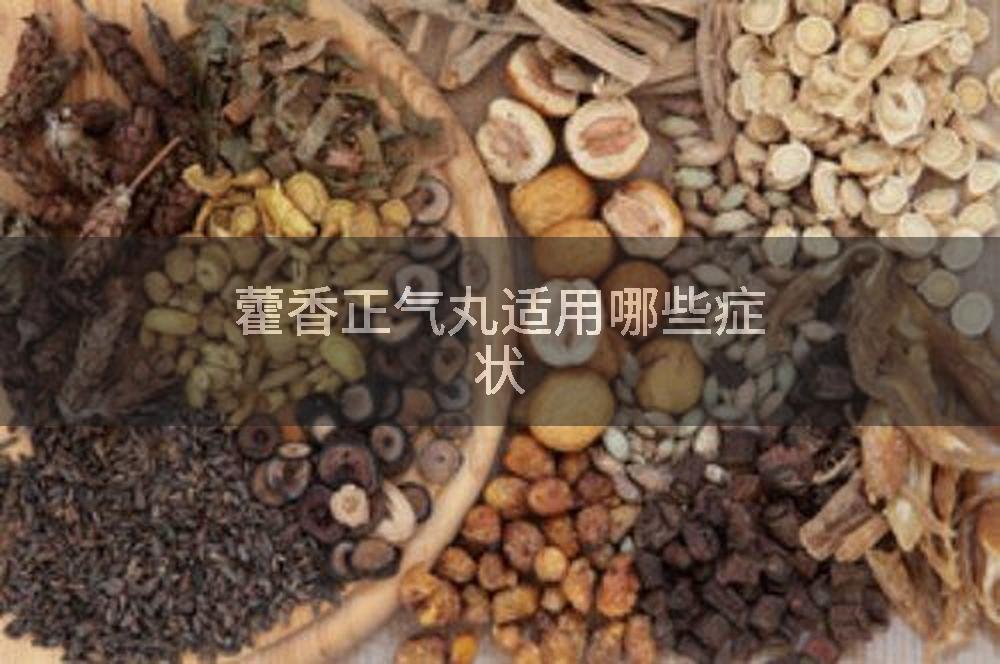 藿香正气丸适用哪些症状