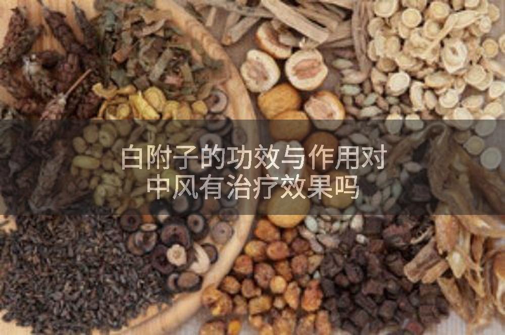 白附子的功效与作用对中风有治疗效果吗