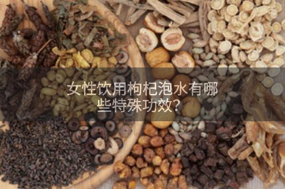 女性饮用枸杞泡水有哪些特殊功效？