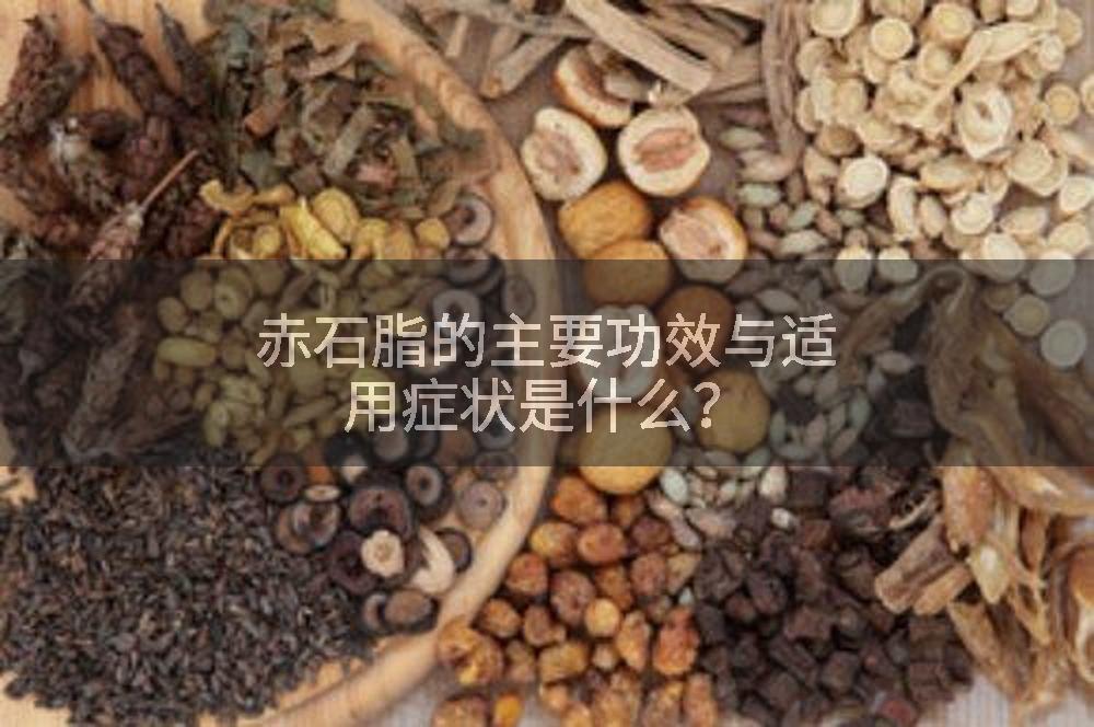 赤石脂的主要功效与适用症状是什么？