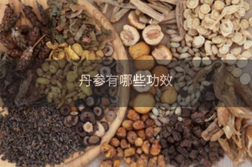 丹参有哪些功效