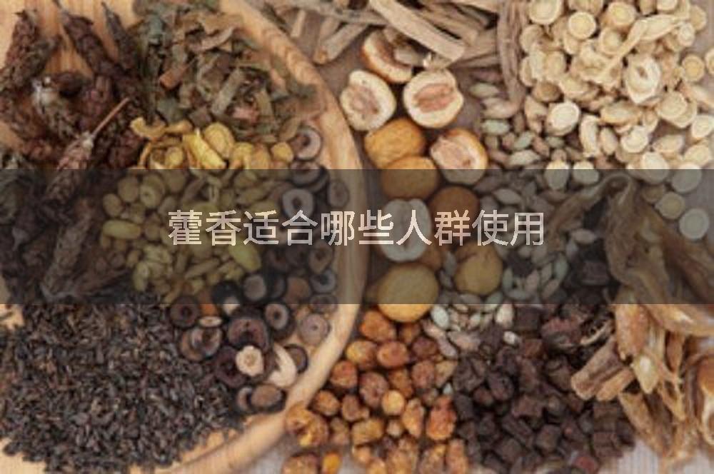 藿香适合哪些人群使用
