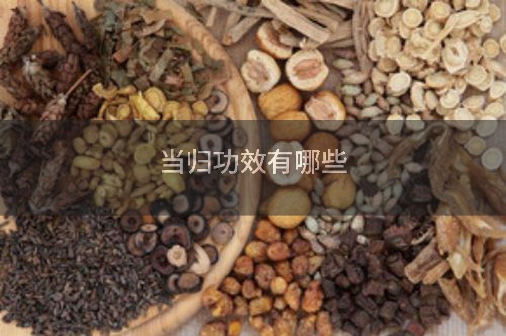 当归功效有哪些