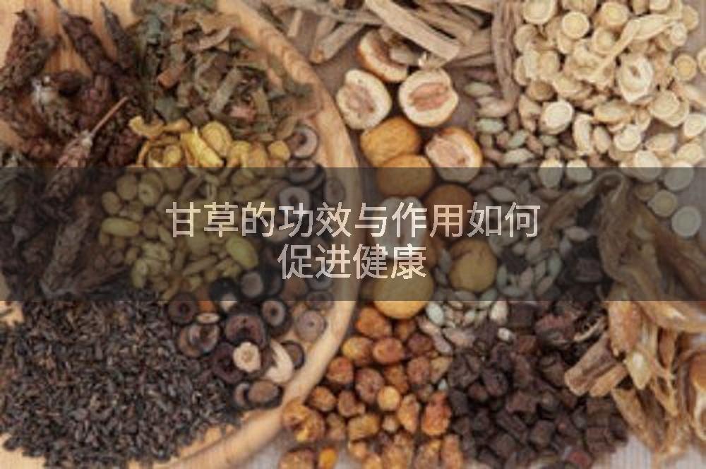 甘草的功效与作用如何促进健康