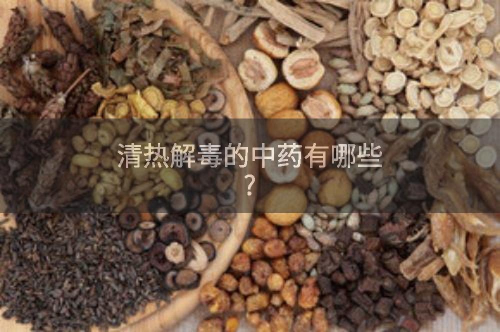 清热解毒的中药有哪些?