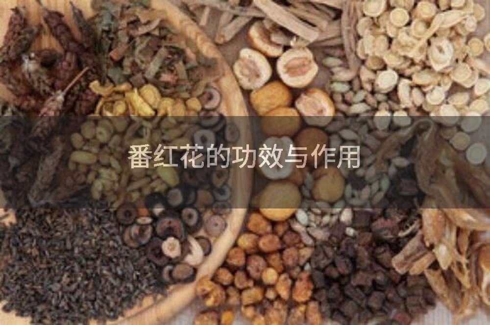 番红花的功效与作用