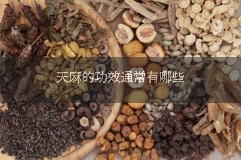 天麻的功效通常有哪些