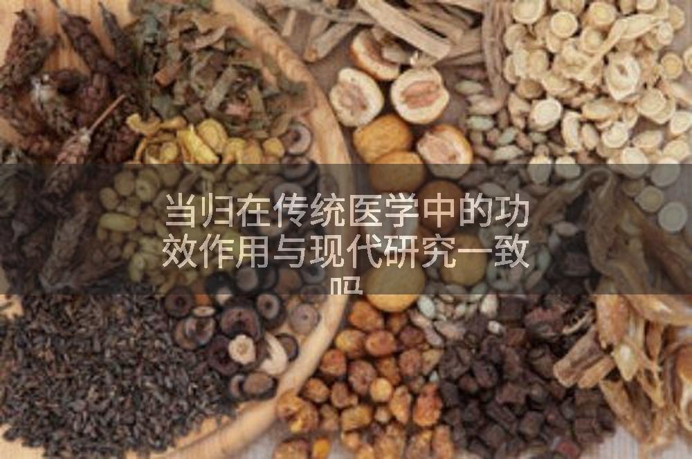 当归在传统医学中的功效作用与现代研究一致吗