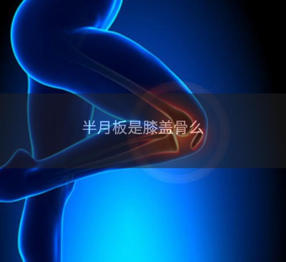 半月板是膝盖骨么