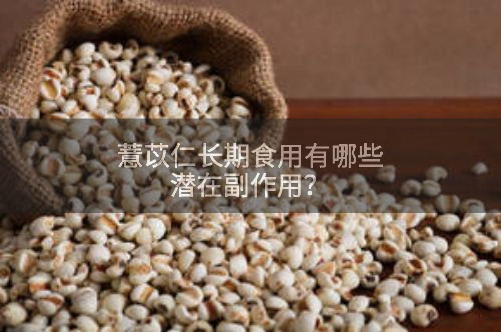 薏苡仁长期食用有哪些潜在副作用？