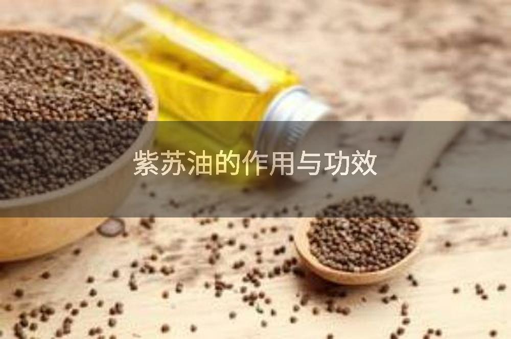 紫苏油的作用与功效