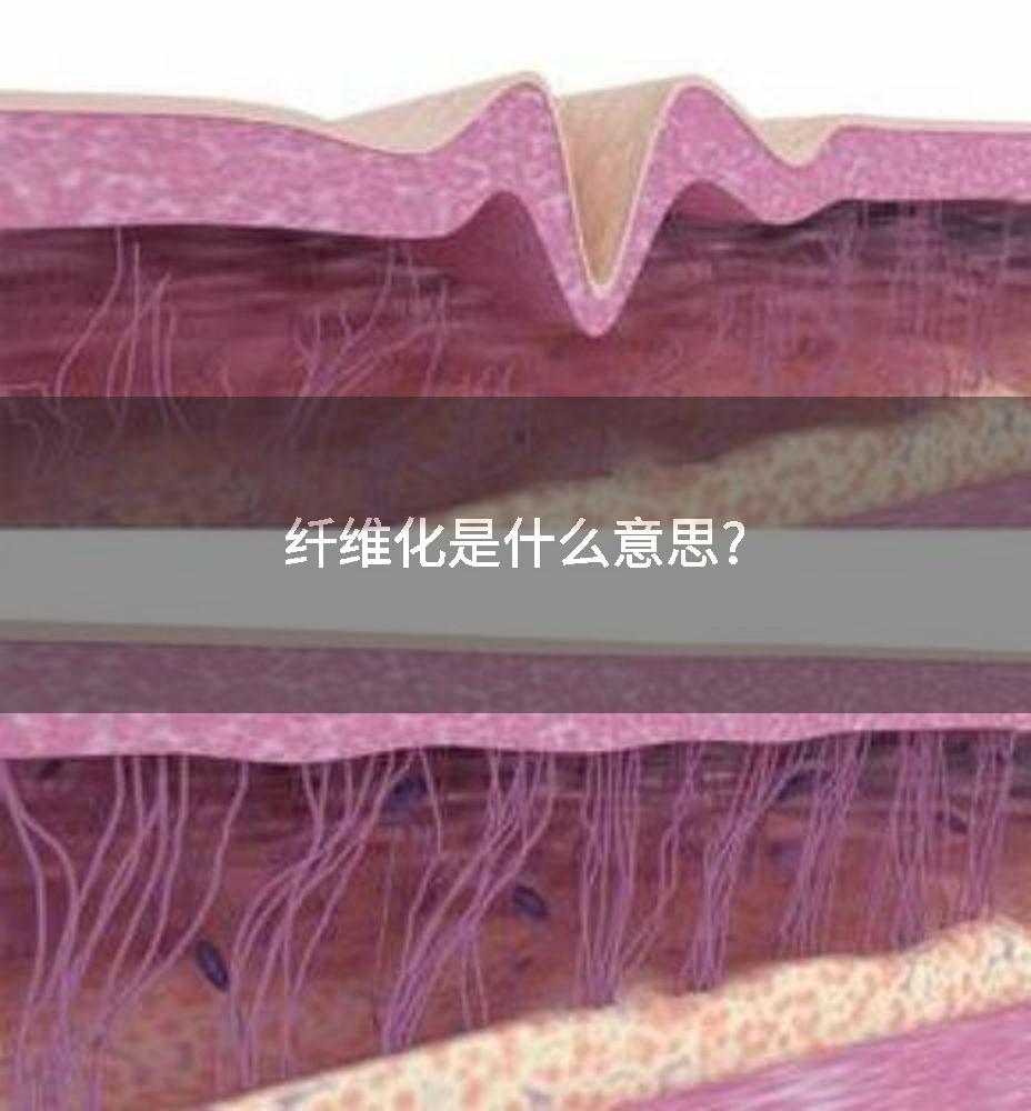 纤维化是什么意思?