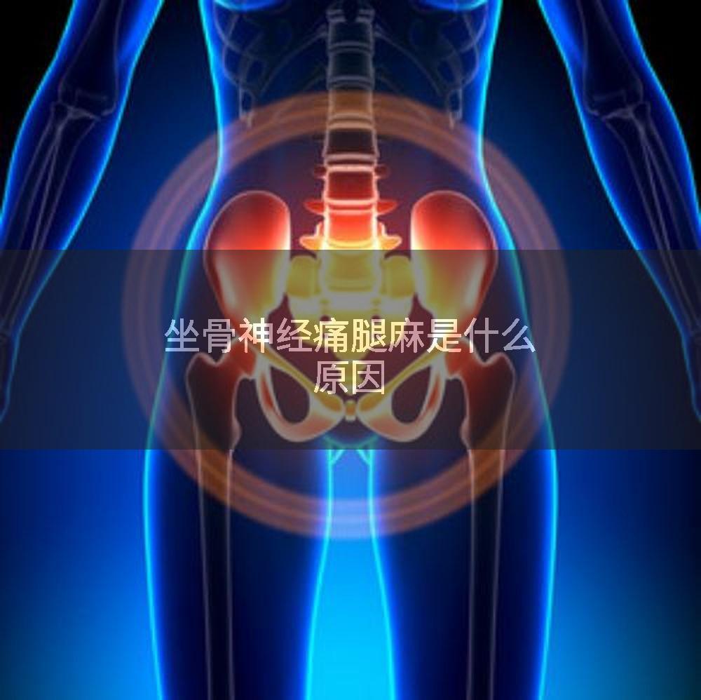 坐骨神经痛腿麻是什么原因