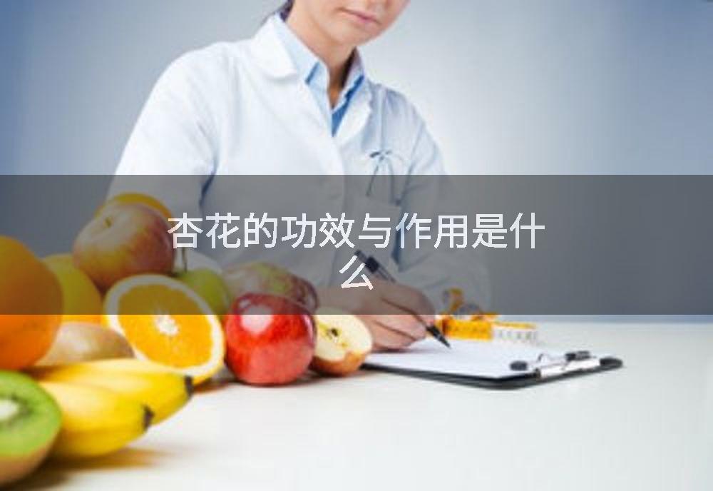 杏花的功效与作用是什么