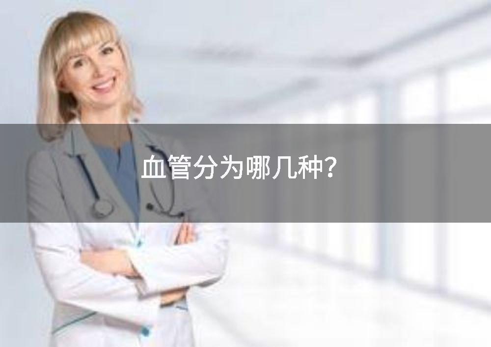血管分为哪几种？