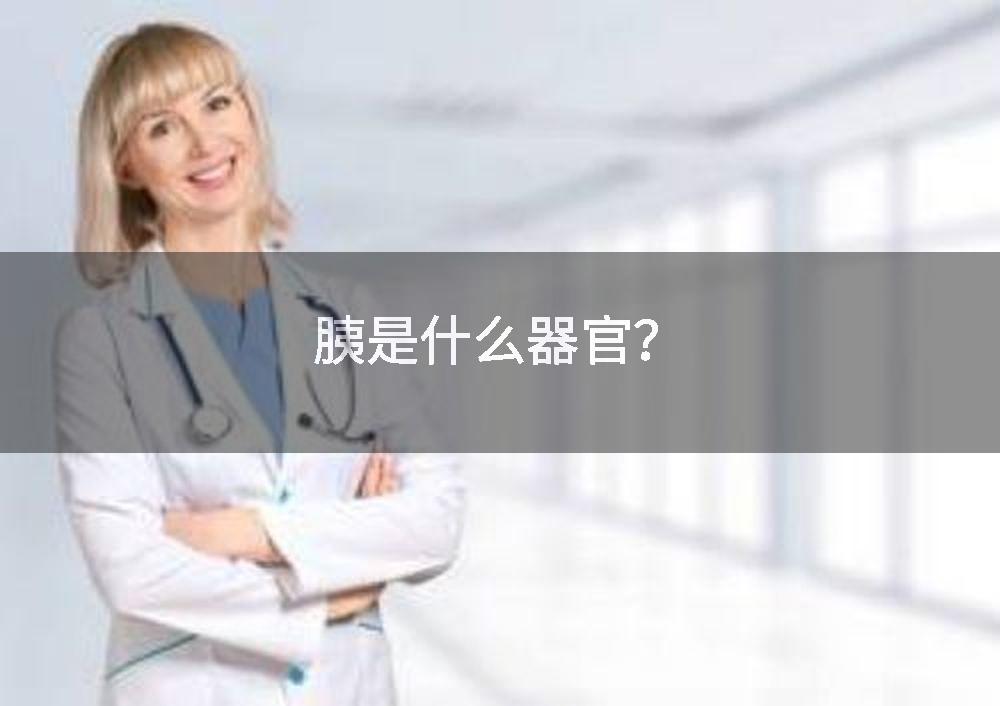 胰是什么器官？