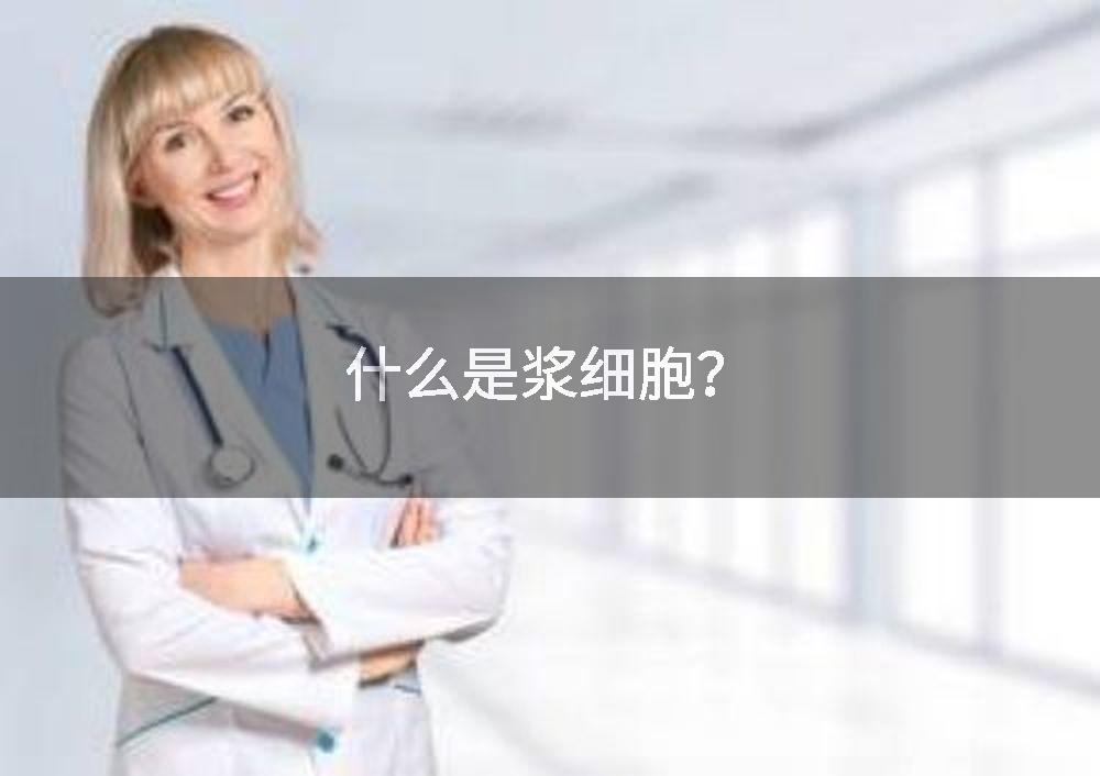什么是浆细胞？