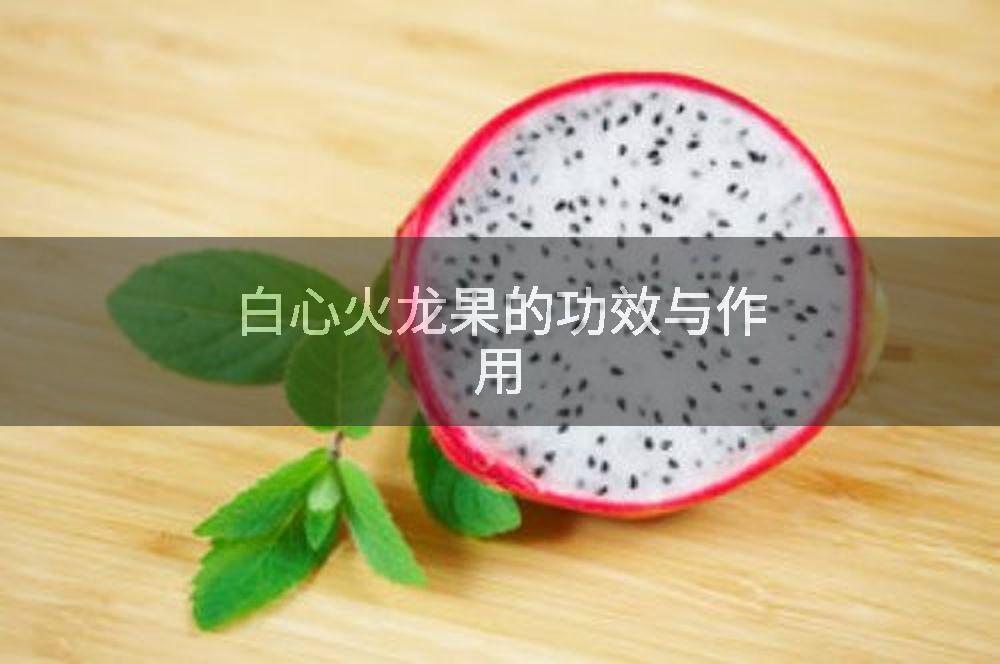 白心火龙果的功效与作用