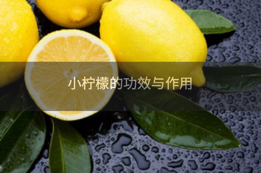 小柠檬的功效与作用