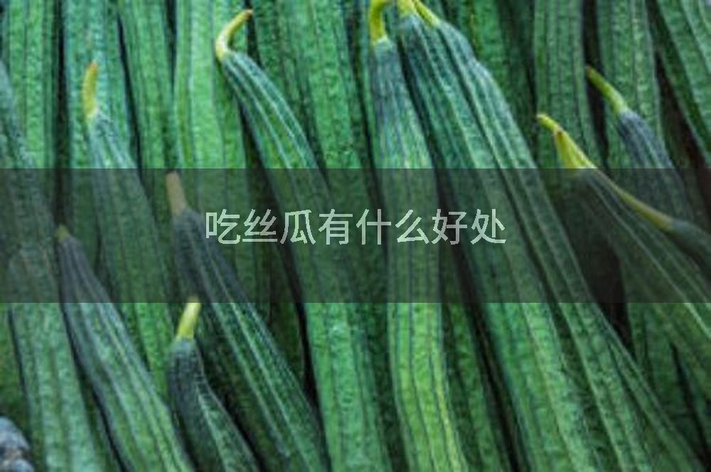 吃丝瓜有什么好处