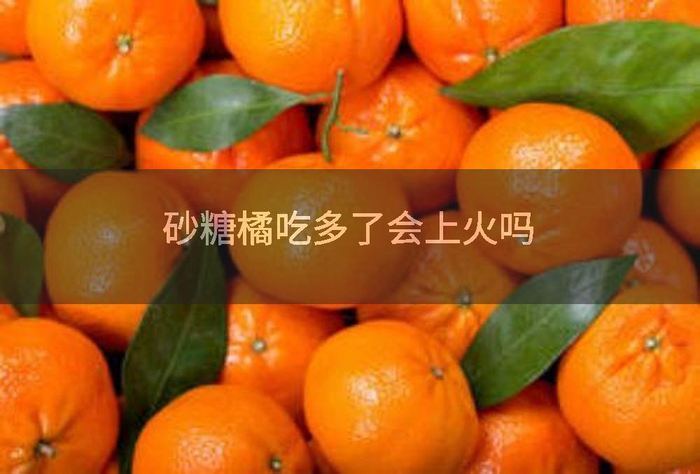 砂糖橘吃多了会上火吗