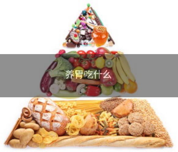 养胃吃什么