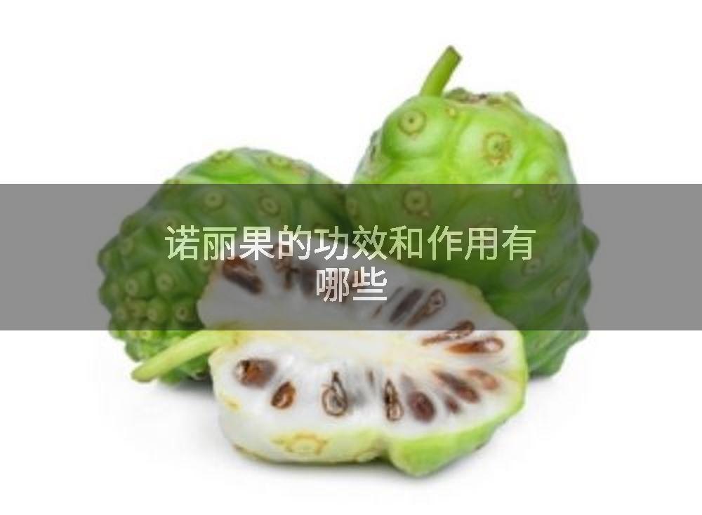 诺丽果的功效和作用有哪些