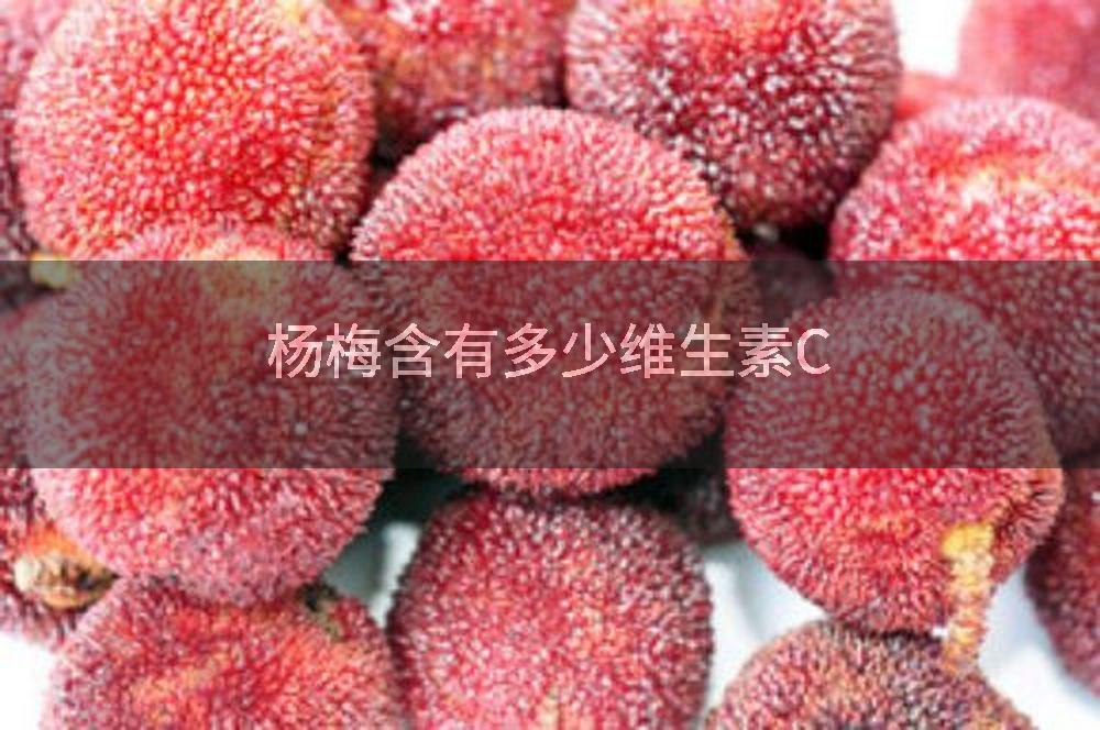 杨梅含有多少维生素C