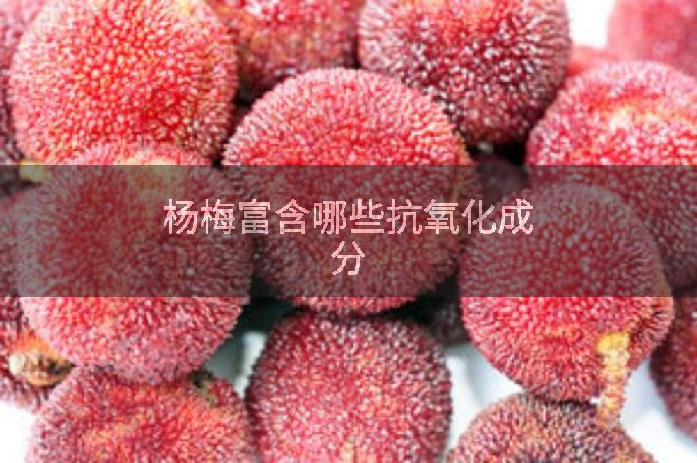 杨梅富含哪些抗氧化成分