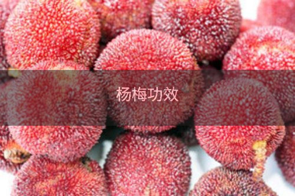 杨梅功效