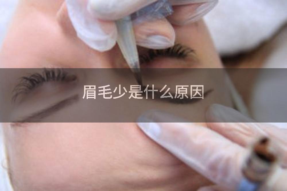 眉毛少是什么原因
