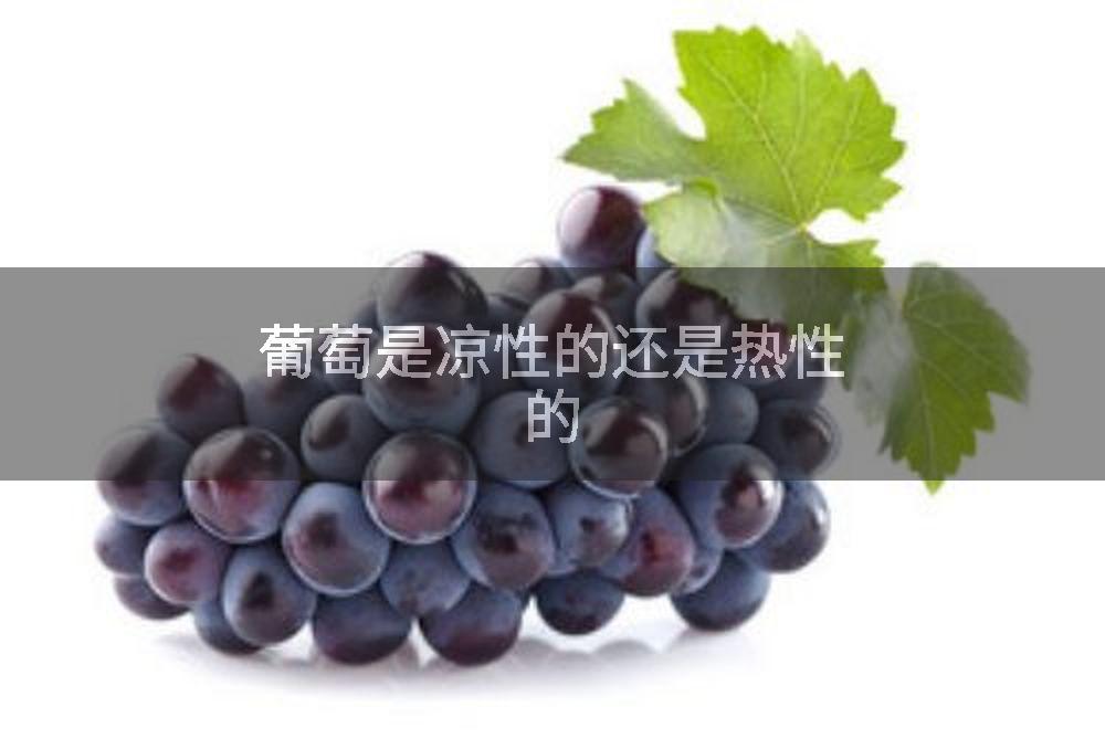 葡萄是凉性的还是热性的