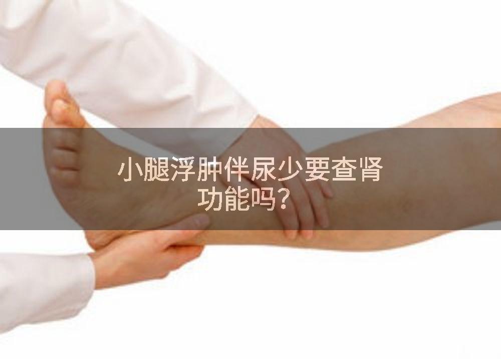 小腿浮肿伴尿少要查肾功能吗？