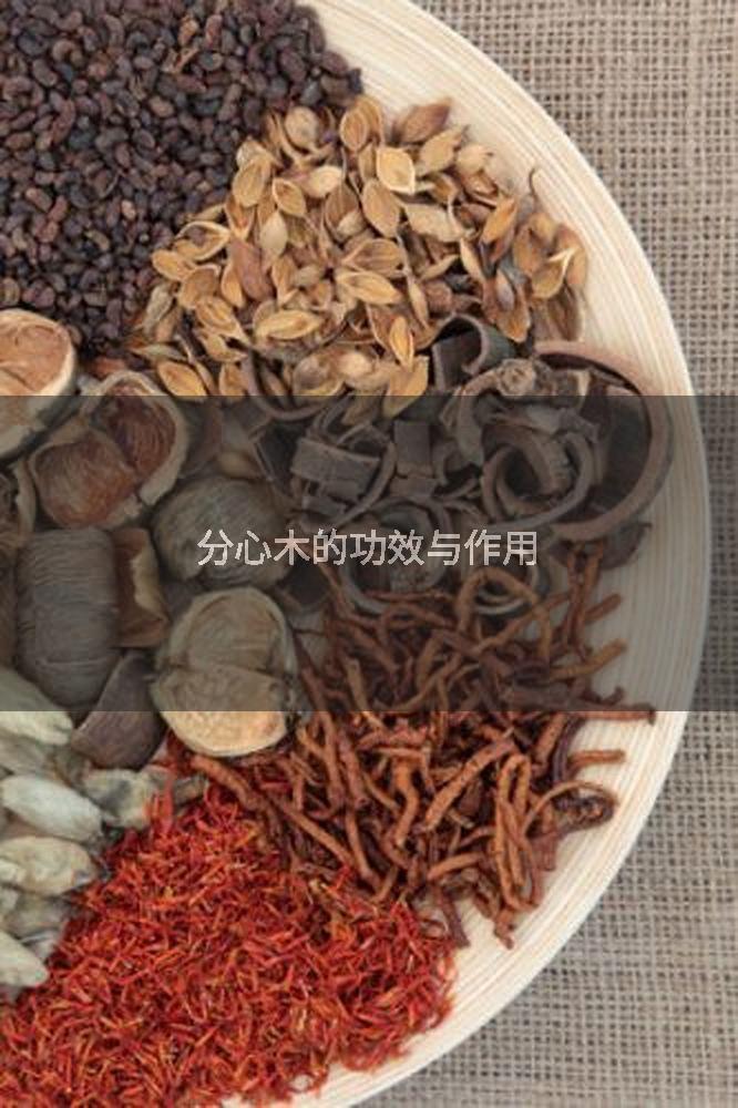 分心木的功效与作用