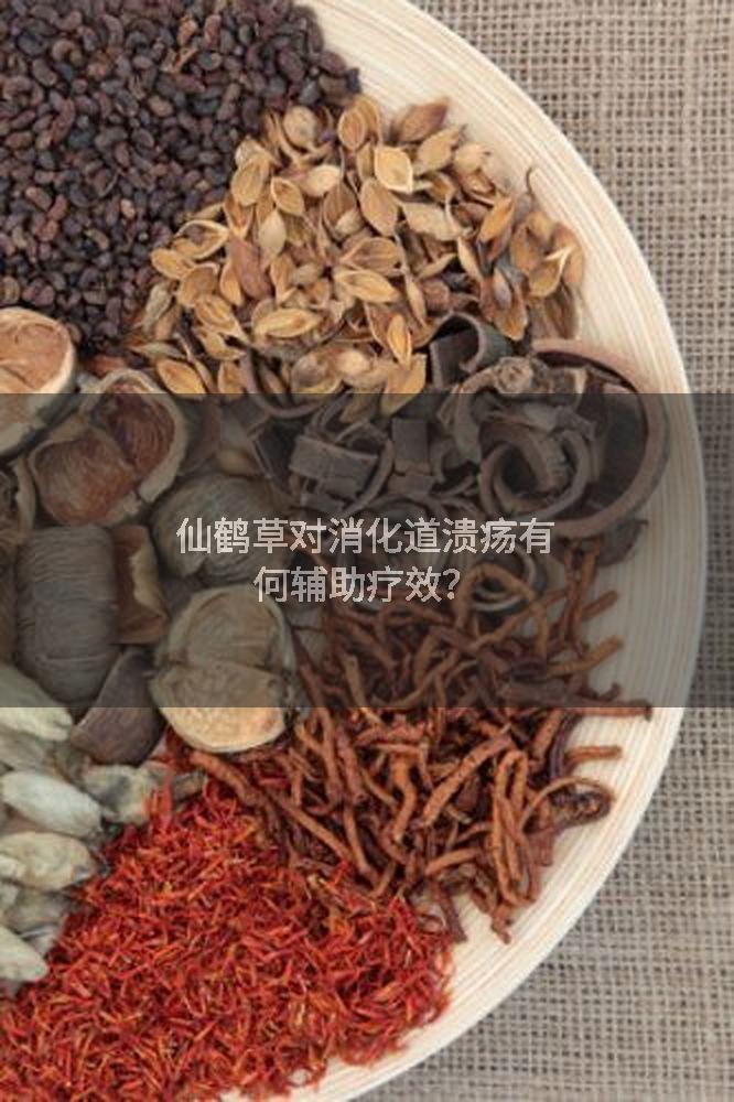仙鹤草对消化道溃疡有何辅助疗效？