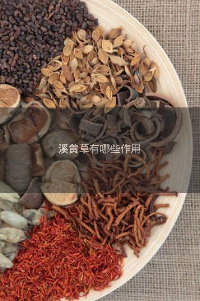 溪黄草有哪些作用