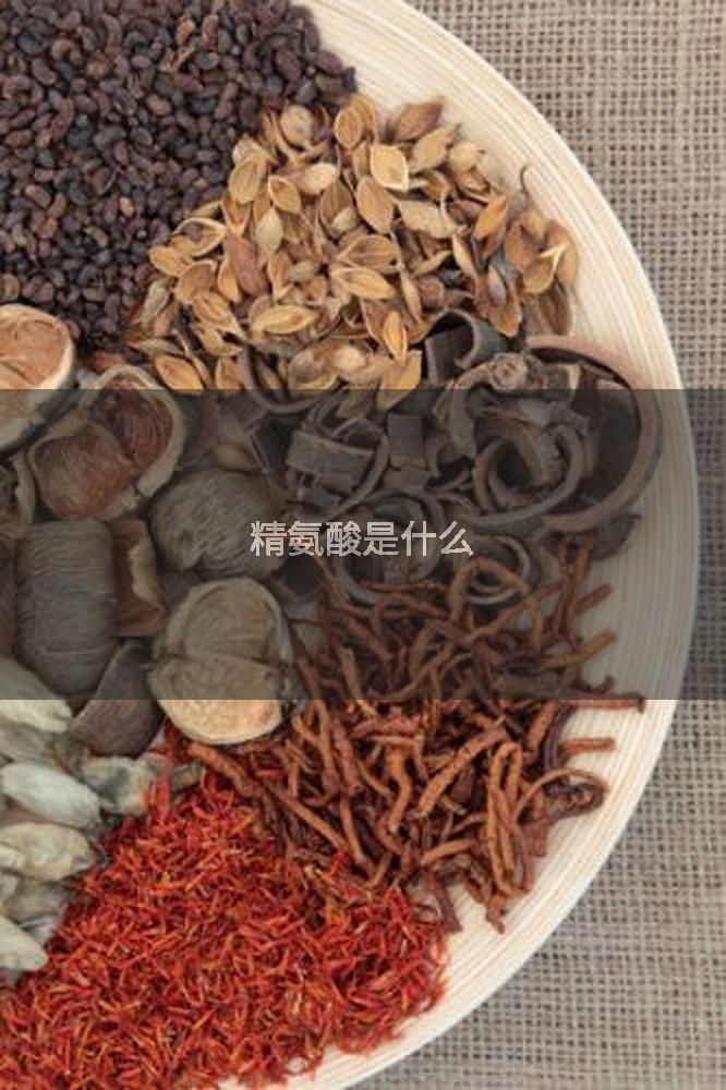 精氨酸是什么