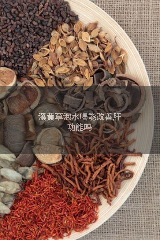 溪黄草泡水喝能改善肝功能吗