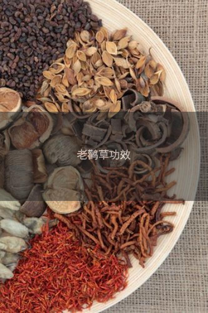 老鹳草功效