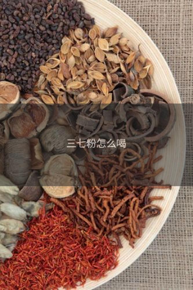 三七粉怎么喝