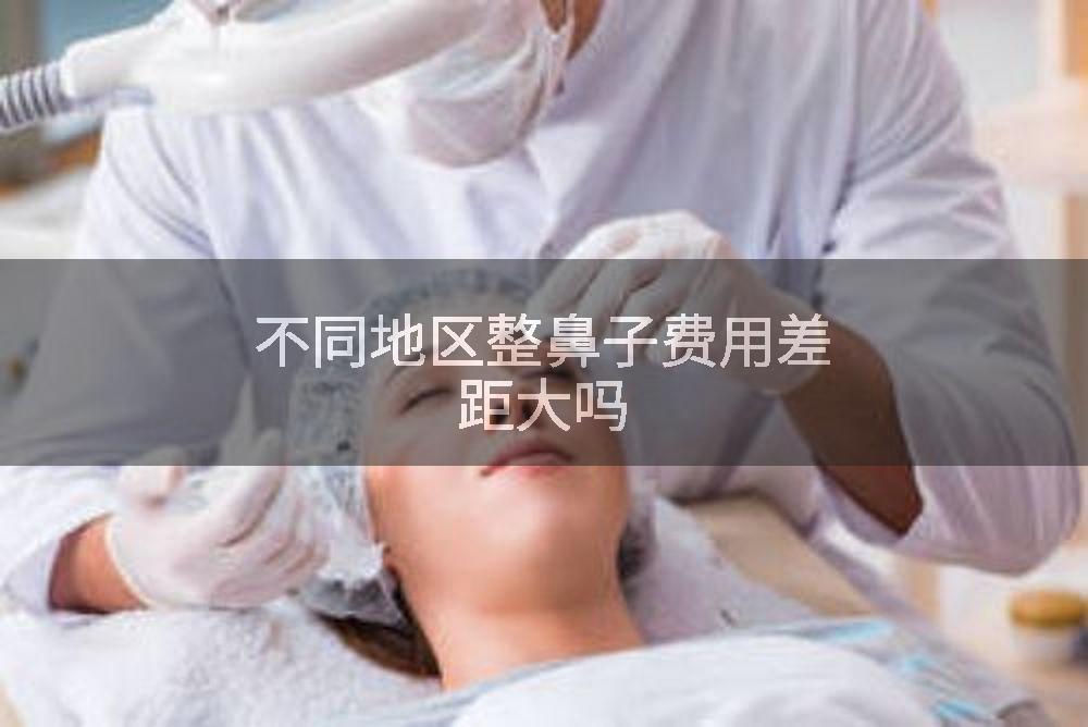 不同地区整鼻子费用差距大吗