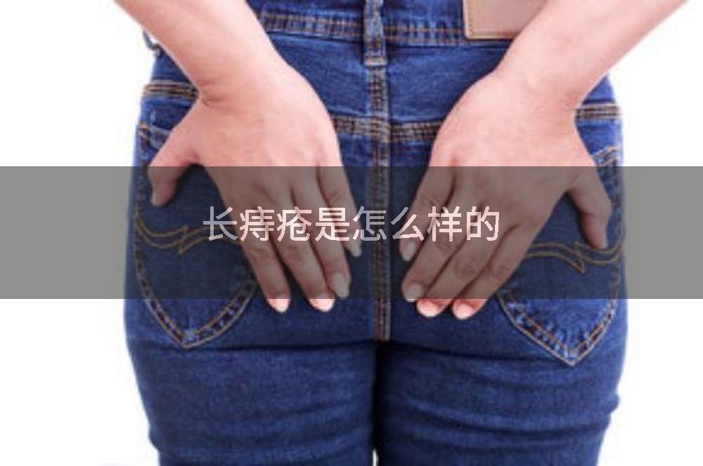 长痔疮是怎么样的