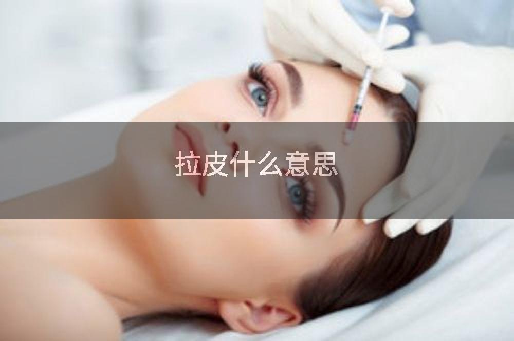 拉皮什么意思