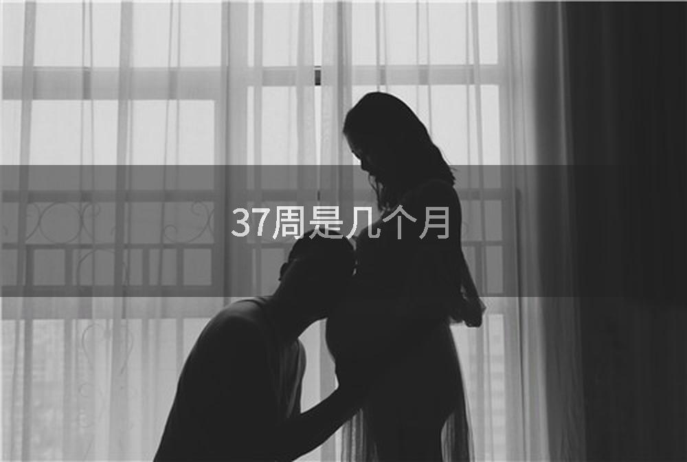 37周是几个月