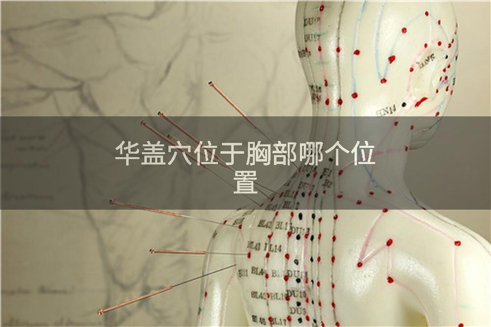 华盖穴位于胸部哪个位置
