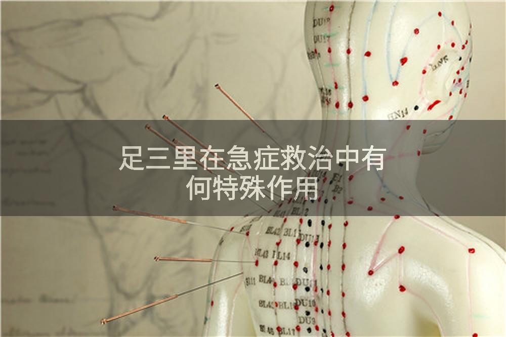 足三里在急症救治中有何特殊作用