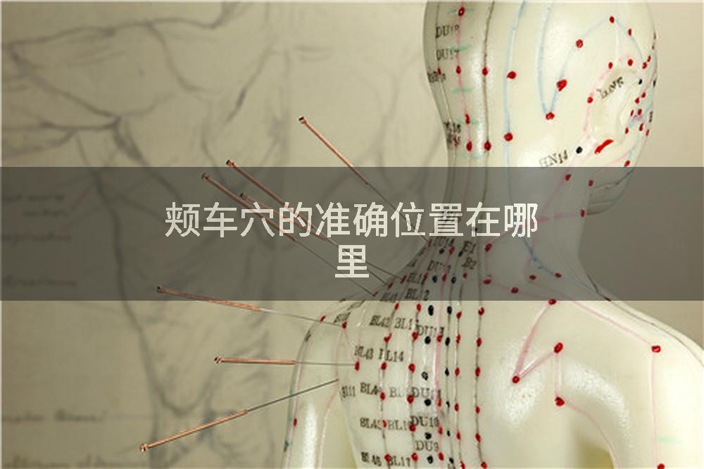 颊车穴的准确位置在哪里