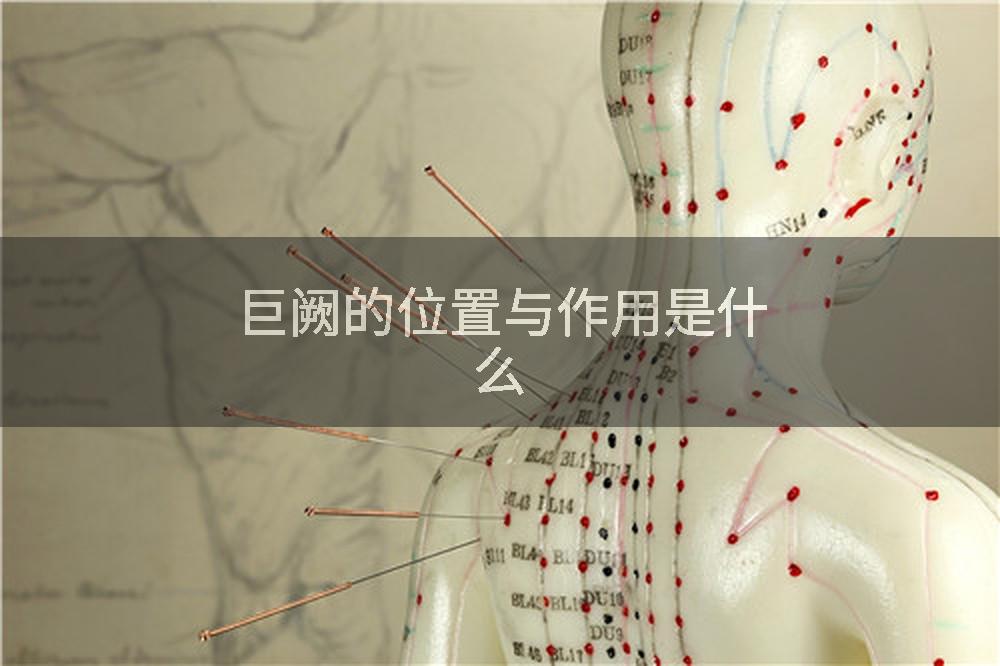 巨阙的位置与作用是什么