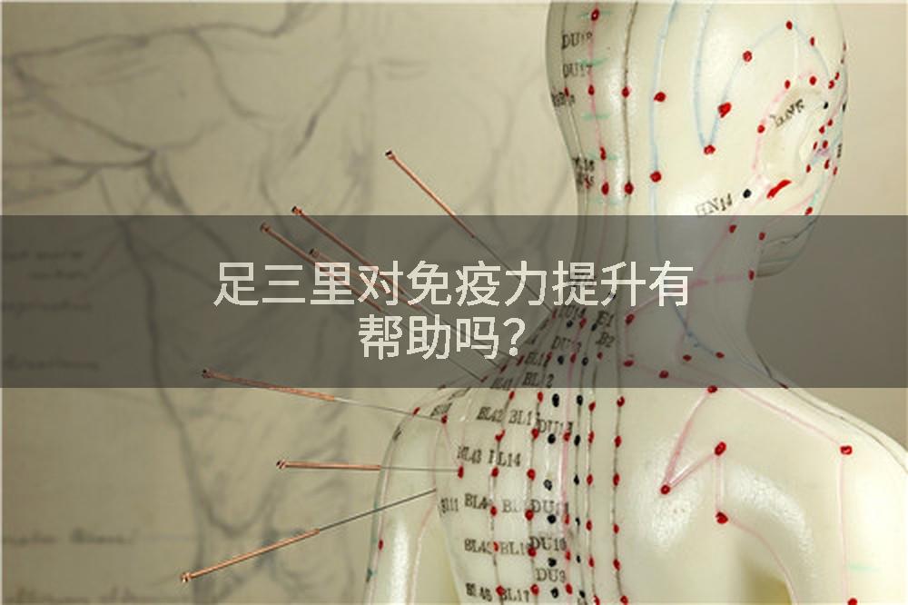 足三里对免疫力提升有帮助吗？